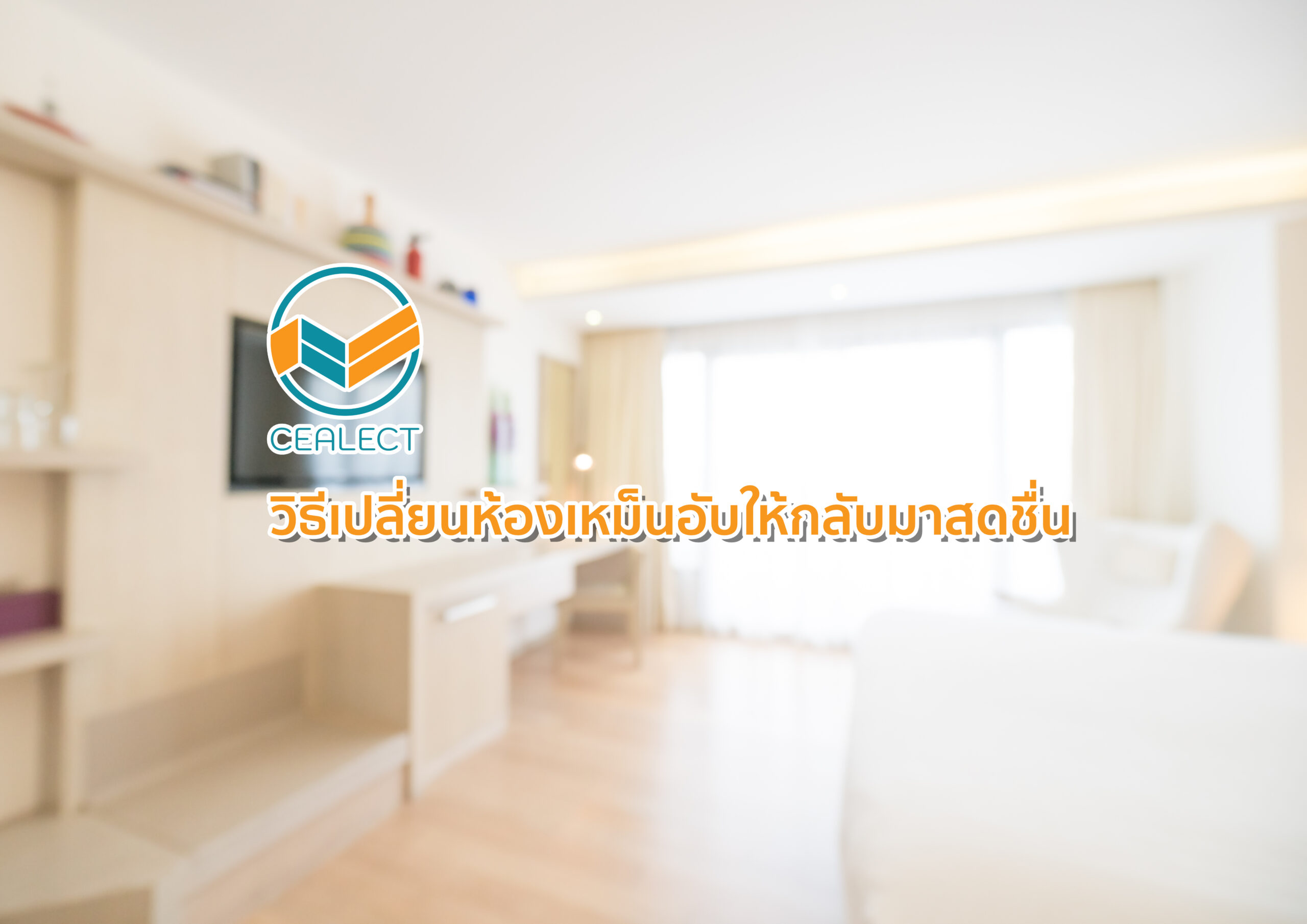 วิธีเปลี่ยนห้องเหม็นอับให้กลับมาสดชื่น - CEALECT ซีเล็ค วิธีเปลี่ยนห้องเหม็นอับให้กลับมาสดชื่น - Cealect ซีเล็ค